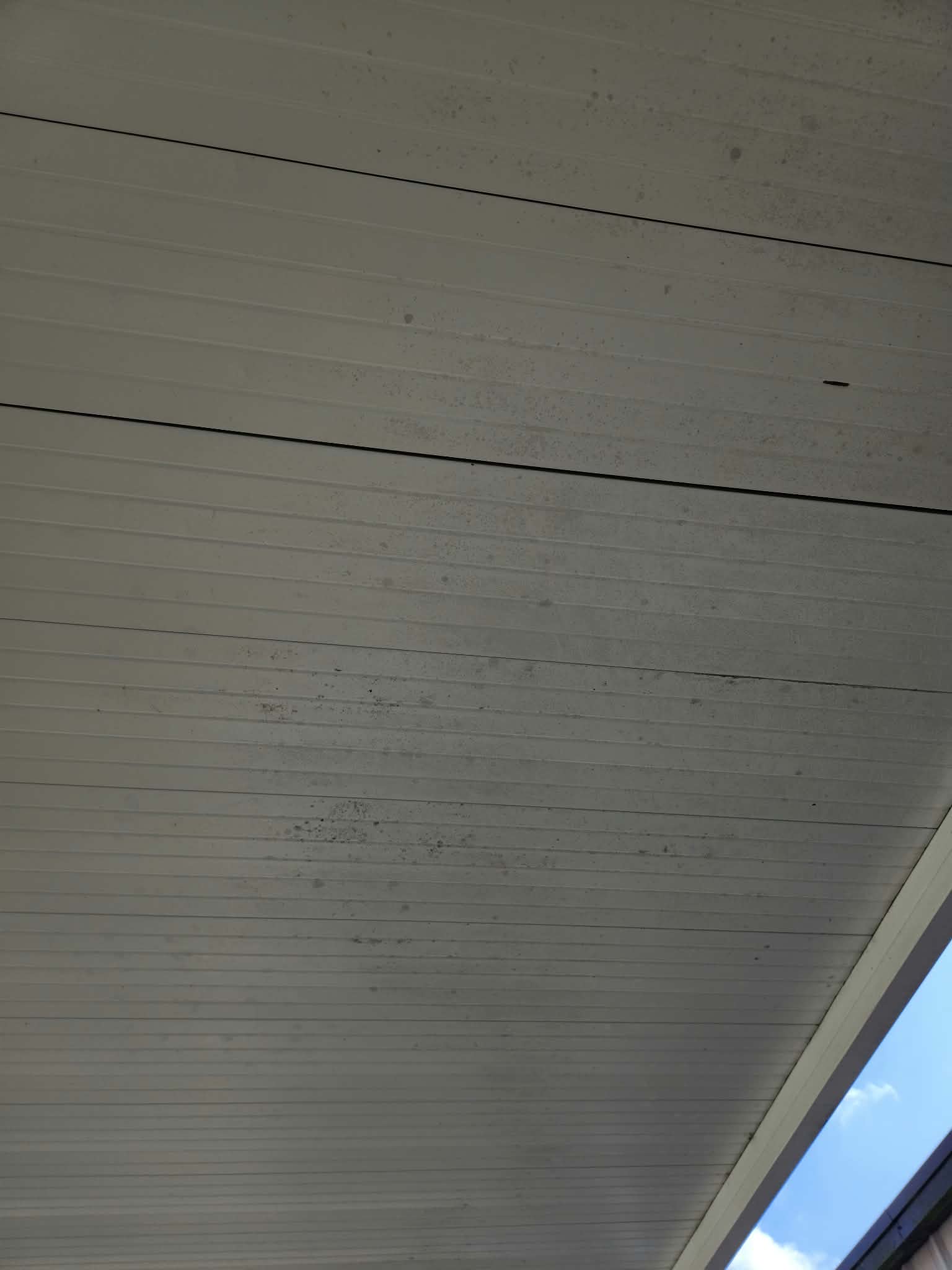 House Washing (Soft Wash)